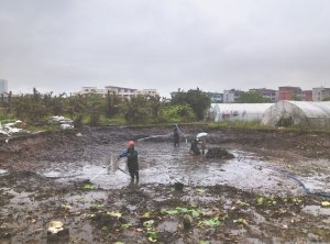 海口河道鱼塘清淤